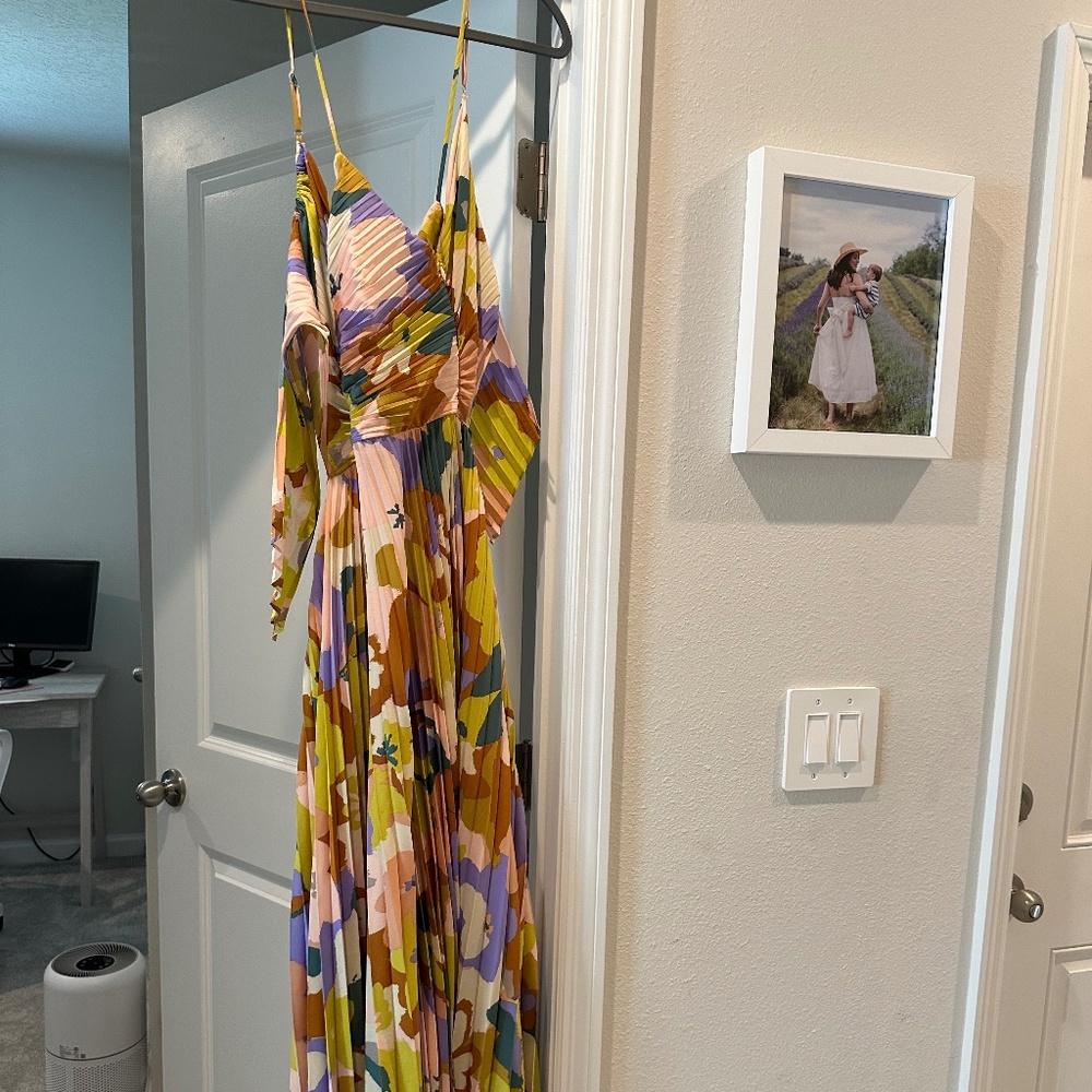 Blythe Floral Plisse Midi Dress ASTR NWT